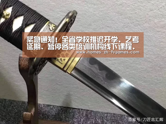 紧急通知!全省学校推迟开学、艺考延期、暂停各类培训机构线下课程、2月份双选活动推迟!_nine game(图3) 九游在线