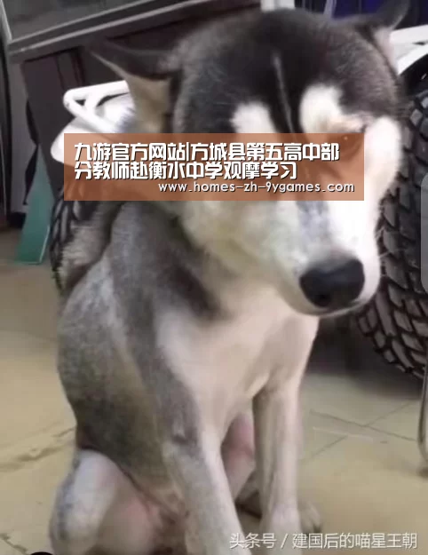 九游官方网站|方城县第五高中部分教师赴衡水中学观摩学习(图3) 九游首页